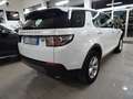 Land Rover Discovery Sport Discovery Sport 2.0 td4 Pure AWD 7 posti Wit - thumbnail 5