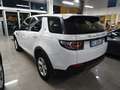 Land Rover Discovery Sport Discovery Sport 2.0 td4 Pure AWD 7 posti Bianco - thumbnail 7
