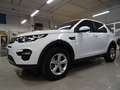 Land Rover Discovery Sport Discovery Sport 2.0 td4 Pure AWD 7 posti Bianco - thumbnail 2