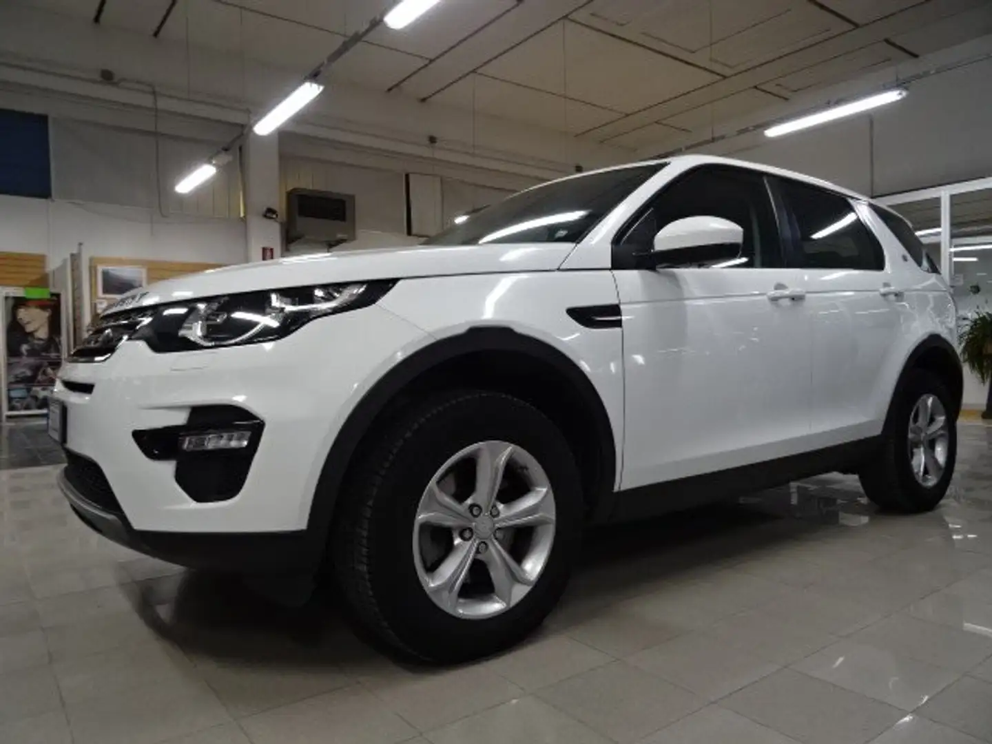 Land Rover Discovery Sport Discovery Sport 2.0 td4 Pure AWD 7 posti Wit - 2