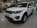 Land Rover Discovery Sport Discovery Sport 2.0 td4 Pure AWD 7 posti Wit - thumbnail 1
