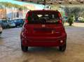 Fiat Panda 1.0 FireFly S&S Hybrid Rosso - thumbnail 7