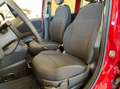 Fiat Panda 1.0 FireFly S&S Hybrid Rosso - thumbnail 14