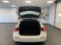 Mercedes-Benz A 180 d Automatico Sport + Full Led Bianco - thumbnail 15