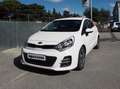 Kia Rio Rio 5p 1.4 crdi Bianco - thumbnail 1