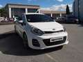 Kia Rio Rio 5p 1.4 crdi Bianco - thumbnail 3