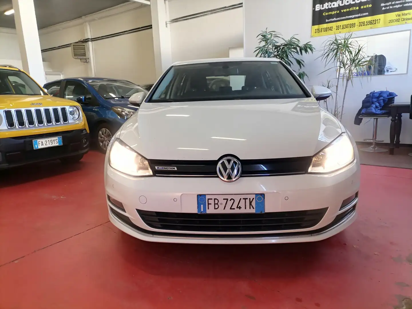 Volkswagen Golf 1.4 TGI 5p. Executive 4 Free BlueMotion Bianco - 2