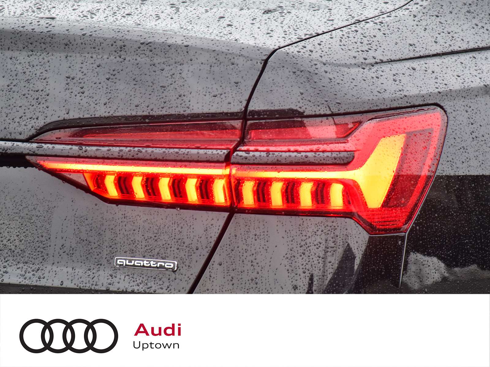 2025 Audi A6 Technik 55 TFSI W/BLACK OPTICS WITH BLACK RINGS thumb 10