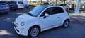 Fiat 500 Dolcevita Weiß - thumbnail 4