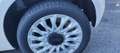 Fiat 500 Dolcevita Weiß - thumbnail 11