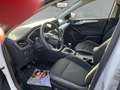 Ford Focus Turnier Cool & Connect, Winter-Paket, Privacy Glas Weiß - thumbnail 7