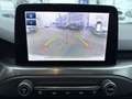 Ford Focus 1.5 EcoBlue 120ch Titanium X BVA Grau - thumbnail 20