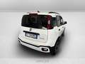 Fiat Panda 1.0 firefly hybrid garmin s&s 70cv 5p.ti Nero - thumbnail 17