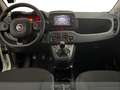Fiat Panda 1.0 firefly hybrid garmin s&s 70cv 5p.ti Nero - thumbnail 8