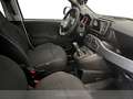 Fiat Panda 1.0 firefly hybrid garmin s&s 70cv 5p.ti Nero - thumbnail 5