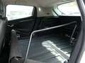 Renault Clio IV SOCIETE 1.5 DCI 75 Ch BVM5 Weiß - thumbnail 12