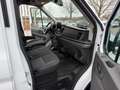 Ford Transit 350 L4H2 TOP Zustand*PickerlNEU*AHK*Klima*Tempomat Weiß - thumbnail 16
