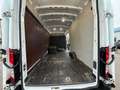 Ford Transit 350 L4H2 TOP Zustand*PickerlNEU*AHK*Klima*Tempomat Weiß - thumbnail 24