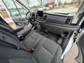Ford Transit 350 L4H2 TOP Zustand*PickerlNEU*AHK*Klima*Tempomat Weiß - thumbnail 18