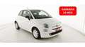 Fiat 500 1.0 Hybrid Club Weiß - thumbnail 1