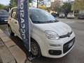 Fiat New Panda FIAT PANDA 1.3 MJET 80 CV EURO 6 N1 *TOP* Bianco - thumbnail 3