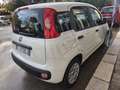 Fiat New Panda FIAT PANDA 1.3 MJET 80 CV EURO 6 N1 *TOP* Bianco - thumbnail 12