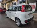 Fiat New Panda FIAT PANDA 1.3 MJET 80 CV EURO 6 N1 *TOP* Bianco - thumbnail 10