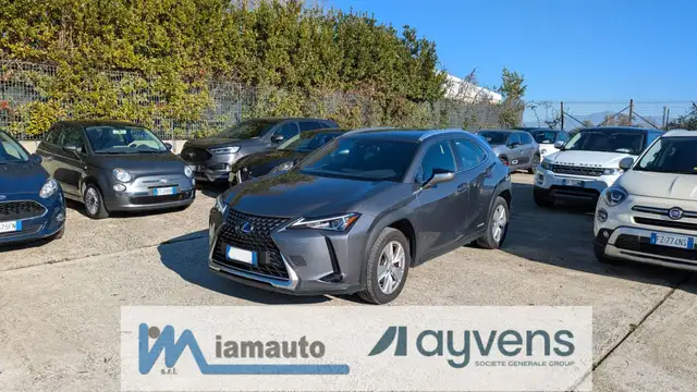 Lexus UX 250h HYBRID BUSINESS 2WD 2.0cc 184cv(152cv)