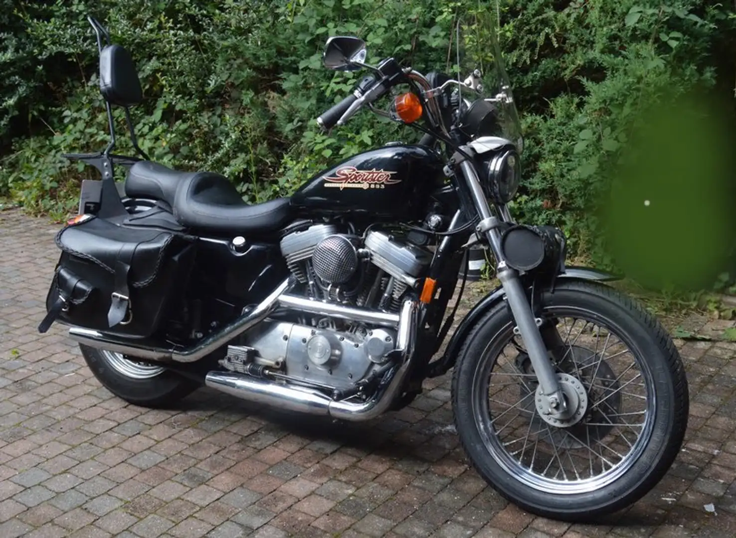 Harley-Davidson XL 883 Noir - 1
