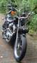 Harley-Davidson XL 883 Noir - thumbnail 31
