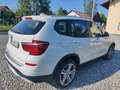 BMW X3 X3 xDrive30d Aut.Advantage Weiß - thumbnail 4