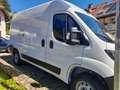 Fiat Ducato Easy Pro 35 L2H2 KaWa 140 HDi Weiß - thumbnail 4