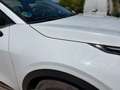 Kia Sportage 1.6 T-GDi MHEV Drive 150 Blanco - thumbnail 14
