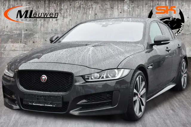 Jaguar XE R-Sport *PANO*HUD*19" ALU*NAVI*LEDER*