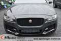 Jaguar XE R-Sport *PANO*HUD*19" ALU*NAVI*LEDER* Grau - thumbnail 7