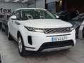 Land Rover Range Rover Evoque 2.0D MHEV Standard AWD Aut. 150 Weiß - thumbnail 2