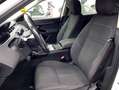 Land Rover Range Rover Evoque 2.0D MHEV Standard AWD Aut. 150 Weiß - thumbnail 12