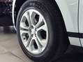 Land Rover Range Rover Evoque 2.0D MHEV Standard AWD Aut. 150 Weiß - thumbnail 7