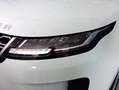 Land Rover Range Rover Evoque 2.0D MHEV Standard AWD Aut. 150 Weiß - thumbnail 6