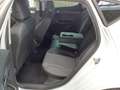 SEAT Leon 1.5 eTSI DSG FR Navi Kam. SHZ Matrix ACC Weiß - thumbnail 12