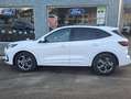 Ford Kuga ST-Line Weiß - thumbnail 2