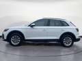 Audi Q5 40 TDI quattro S tronic Blanc - thumbnail 3