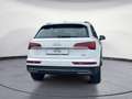 Audi Q5 40 TDI quattro S tronic Blanc - thumbnail 5