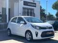 Kia Picanto 1.0 12V EcoGPL 5 porte City Blanco - thumbnail 1