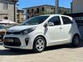 Kia Picanto 1.0 12V EcoGPL 5 porte City Blanco - thumbnail 3