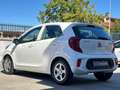 Kia Picanto 1.0 12V EcoGPL 5 porte City Blanco - thumbnail 4