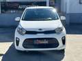 Kia Picanto 1.0 12V EcoGPL 5 porte City Blanco - thumbnail 2