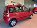 Fiat Panda 1.2i 5-DEURS CLASS/STUURBEKRACHTING + CITY-FUNCTIE Rood - thumbnail 5