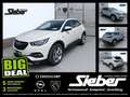 Opel Grandland 1.6 Turbo Elegance Sitzhzg Kamera Navi Wit - thumbnail 1