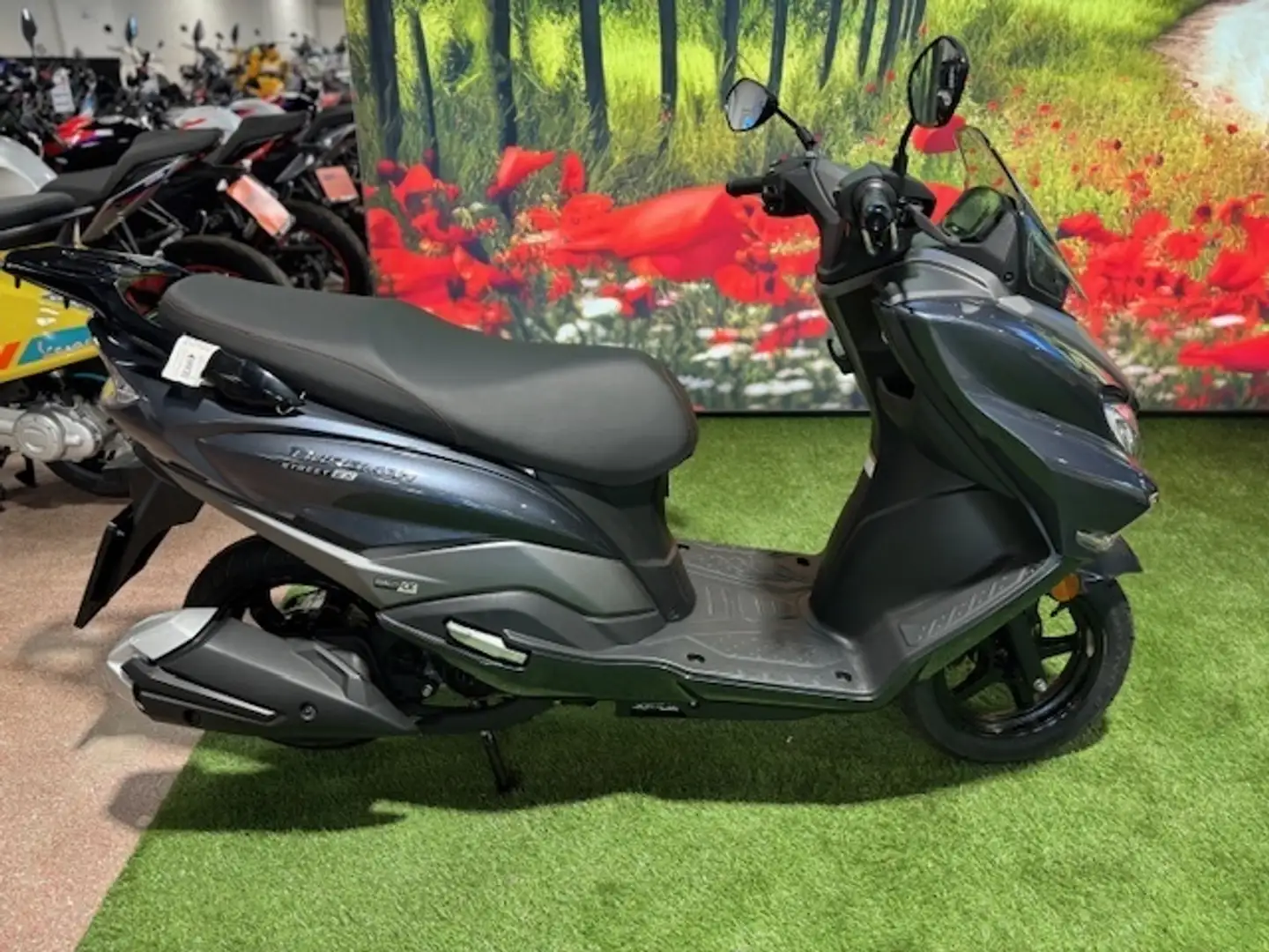Suzuki BURGMAN STREET 125 EX Gris - 2